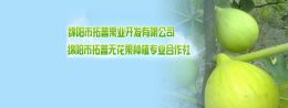 绵阳市拓普果业开发有限公司